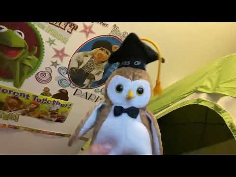 Hoots the Owl Sings This is How We Take a Bath