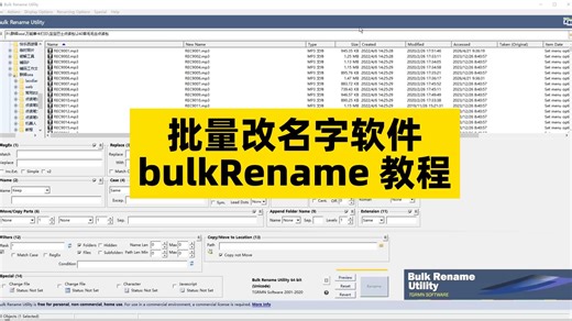 批量改名字软件bulkRename 教程