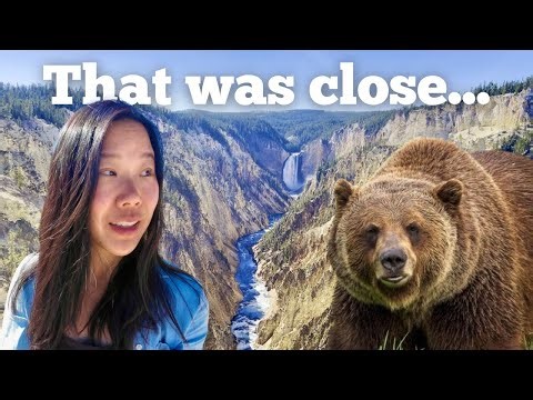 Our First Time in Yellowstone… Then The Grizzly Warning Came