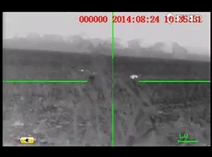 150K views · 1.4K reactions | Hog hunters check this out.. Double G Hog Control helps farmers out by thinning the hog population which cause extensive damage to crops, as well as, killing wildlife and destroying habitats. Keep up the good work! | Mojo TV | Facebook