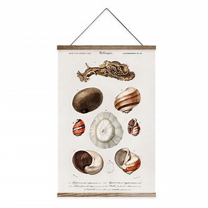 [Hot Item] Conch Shell Scroll Banner Print Canvas Poster Bedroom Home Apartment Wall Art Decor