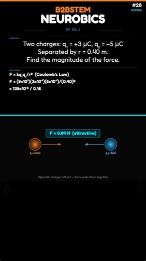 Coulomb's Law — Find the Electrostatic Force | Physics | Neurobics