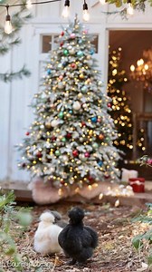 A peek behind the scenes of photographing this tree. I’ve been craving a simpler old fashioned Christmas feeling this year. One that takes me back to childhood & the wonder & magic that Christmas brings. And so- I thought of this @balsamhill Frosted Balsam Fir with Color Clear lights - dressed in colorful baubles & yes- even the barn is all lit up with vintage inspired color this season. My helpers seem to approve 🐥 & think they might need a tree of their very own. More on the blog today & stay