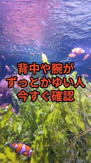 背中がかゆい人、今すぐ確認！ #健康雑学 #肝臓ケア #健康チェック #かゆみ #40代からの健康 #50代の健康習慣 #60代を楽しむ