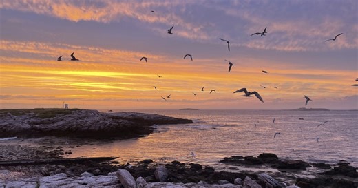New GBH Series Explores Gulf of Maine as Harbinger of Future Climate Change