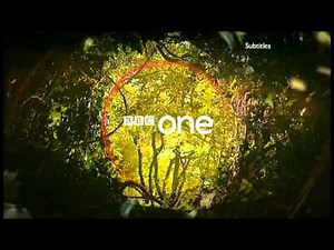BBC One Magical Forest ident
