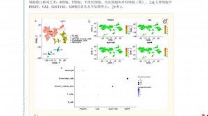 Q1区6.1分，双疾病 WGCNA 单细胞 细胞通讯 转录调控 潜在药物预测，特发性肺动脉高压中 CCL5 介导的 T 细胞和 NK 细胞与血管细胞的相互作用
