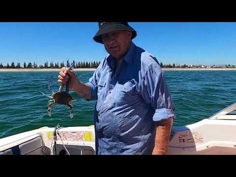 Crabbing off Semaphore 05 03 2026