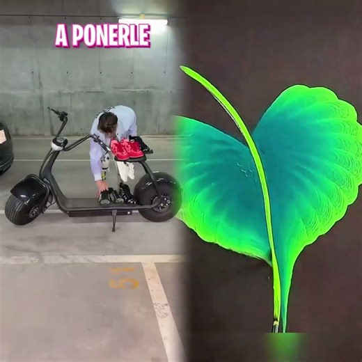 Me multaron por hacer esto en mi alberca😪😵‍💫😰😭