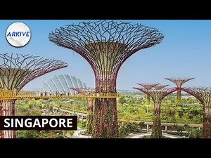 Singapore's Journey to a Greener Future
