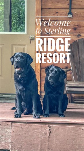 🐾 Looking for the pawfect Vermont escape? (Hosted) We found a cozy, dog-friendly cabin resort in Jeffersonville where your four-legged travel buddy is more than welcome. With miles of walking trails right outside your door, private fire pits, full kitchens, and covered porches for lounging, @sterlingridgeresort is all about slowing down and soaking it all in together. This collection of private cabins is conveniently located near Stowe, so you can spend your days exploring with your pups. Wheth