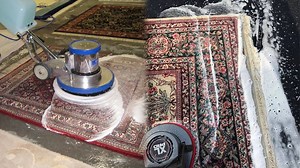 Specialist Cleans the Most Disgusting Carpet Ever