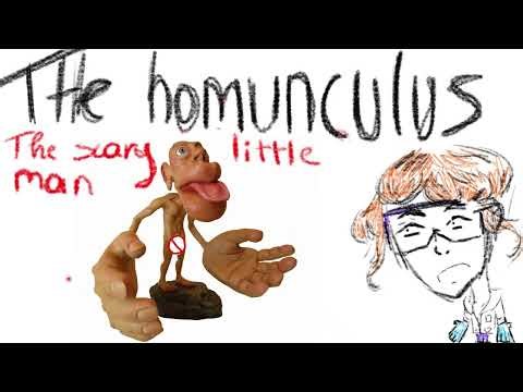 The Homunculus - that tiny scary man