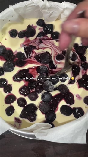Delicious Burnt Cheesecake with Blueberry and Stevia