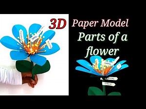 Parts of a Flower | 3D paper model | Easy school project making idea | paper craft