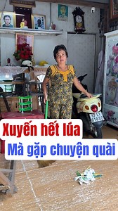 81K views · 380 reactions | Xuyến nói cở này bèo nhèo rồi #67signalmedia #xuyennai | Minh Nhựt TV | Facebook