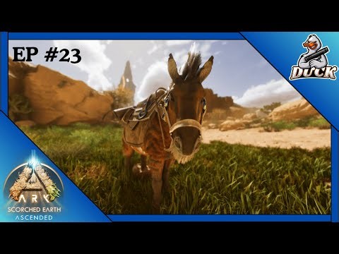 The Equus Is the Ultimate Tame In Scorched Earth! ARK Scorched Earth [EPISODE #23]