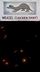 I say that Dog 😅! 🐕! Classic Cartoon video! | Animation Series