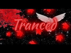 Logitech script tutorial