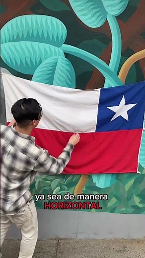 Here we teach you how to display the Chilean flag correctly 🇨🇱😉