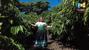 LA DANZA DEL CAFÉ, TEZONAPA 2018-2021 #TezonapaEnMovimiento | Tezonapa es un Paraíso