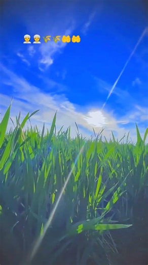 #:Prayer is the light of lifePrayer is the key to successThe Sunnah of the Prophet, the habit of pr#