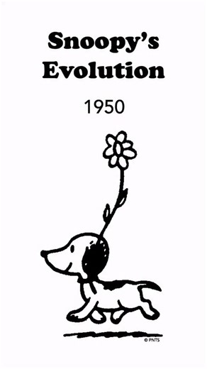 Charles M. Schulz Museum | The home of Snoopy & the Peanuts Gang on Instagram: "Happy 75 Years, Snoopy!🤍 When asked which of his characters had changed the most, Charles M. Schulz responded that it was Snoopy. “Characters change in comic strips as you go along from year to year. You’re never quite sure what’s going to happen.” —Charles M. Schulz From the sweet puppy of early days to an older, worldlier pup, one thing hasn’t changed: there is only one Snoopy!"