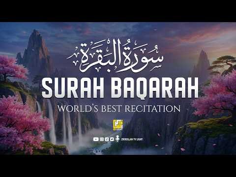Surah Al-Baqarah Full (سورة البقرة) | Heart Touching Recitation & Inner Peace #baqarah