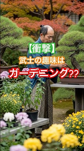 武士の趣味は園芸が大人気 実は盆栽と菊を育てた #歴史 #shorts #雑学 #日本史 #歴史解説 #江戸時代