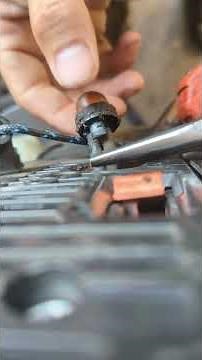 Echo Backpack Primer Bulb Replacement