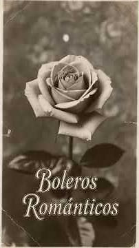 Boleros Romanticos 2026 Baladas de Oro anos 70 #boleros #bolerosrománticos #baladasromanticas