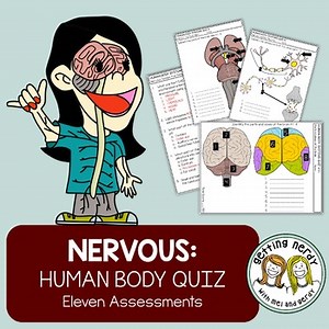 Nervous System | Human Body | Brain Structure & Function Quizzes/Assessments