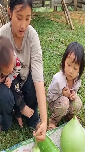 Picking Fresh Pumpkins to Sell for Cooking | Farm Day Vlog