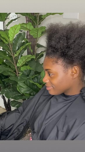 524K views · 10K reactions | Jungle Braids! | Duchess Braids Inc | Facebook