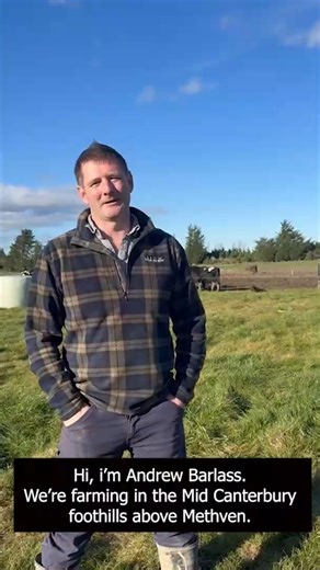 A hybrid bale grazing system is improving a Mount Hutt dairy farm’s soil. After being hit with heavy rainfall over consecutive winters, grazing cows on crop only was damaging the farm’s soil. Andrew Barlass said he needed a solution that brought flexibility and resilience into his system. While he still begins the season feeding cows on kale, mid-winter he switches them to ryegrass straw and silage - using the hay bale grazing method from North America. The benefits: 🌟 empty rates have dropped 
