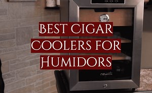 5 Best Cigar Coolers for Humidors