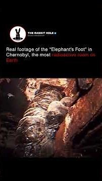 Real footage of the “Elephant’s Foot” in Chernobyl, the most radioactive room on Earth