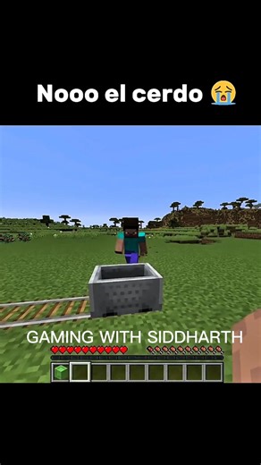 Minecraft Loop Glitch! 🐷 #Minecraft #Gaming #Shorts