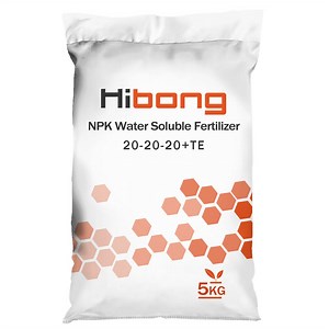 [Hot Item] NPK 20-20-20 Water Soluble Compound Fertilizer