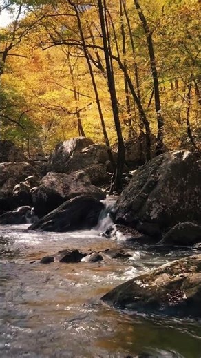 Beautiful Quran Recitation ✨💖 mishary rashid alafasy