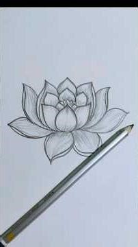 easy simple lotus tutorial #art#easyartlover #artdrawing #youtubeshorts