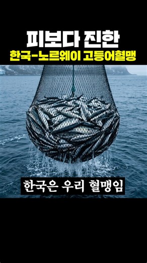 Korea-Norway Mackerel Blood Alliance Thicker Than Blood