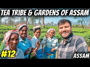 Stayed in TEA GARDEN for 1 NIGHT, Tea Bunglows