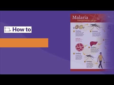 How to | Download an infographic on Mind the Graph