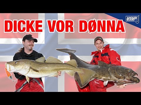 Angeln in Norwegen: Danke, Dønna | HEILBUTT Livebiss | RUTE & ROLLE Classic | ANGLERBOARD TV