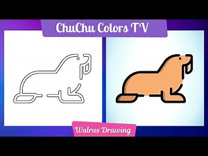 Easy Walrus Drawing for Beginners | Step-by-Step Guide