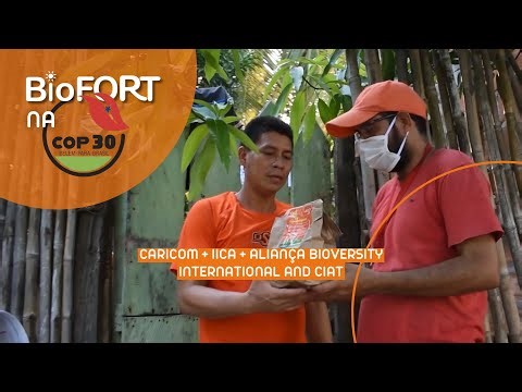 Aliança Bioversity International and CIAT