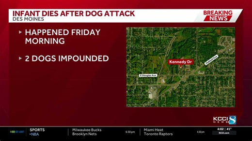 Infant dead, toddler seriously injured in separate dog-bite incidents in Des Moines