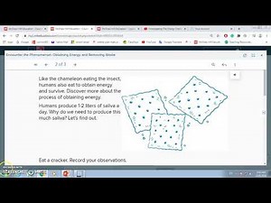 Grade 6 Science Obtaining energy and removing waste part 1