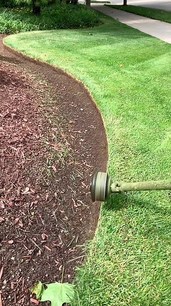 Lawn Care 101: How to Get a Perfect Green Lawn